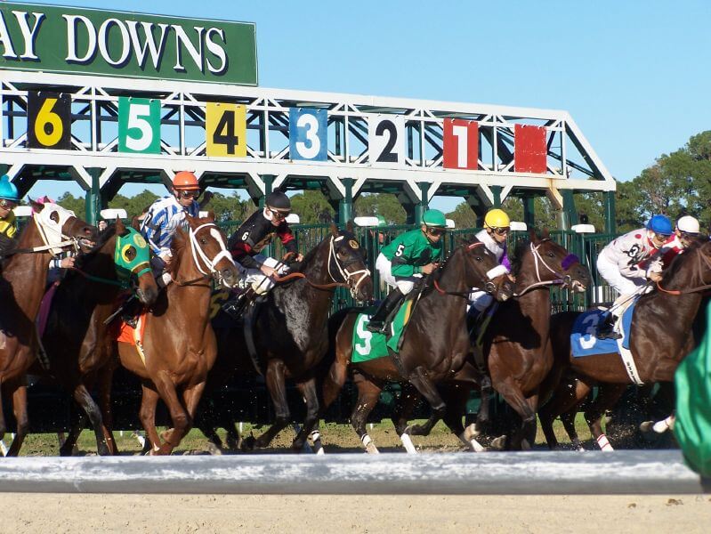 Tampa Bay Downs track conditions and racing surface