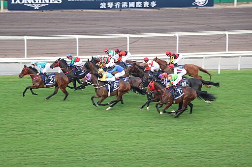 Hong Kong Cup 2024 - Sha Tin