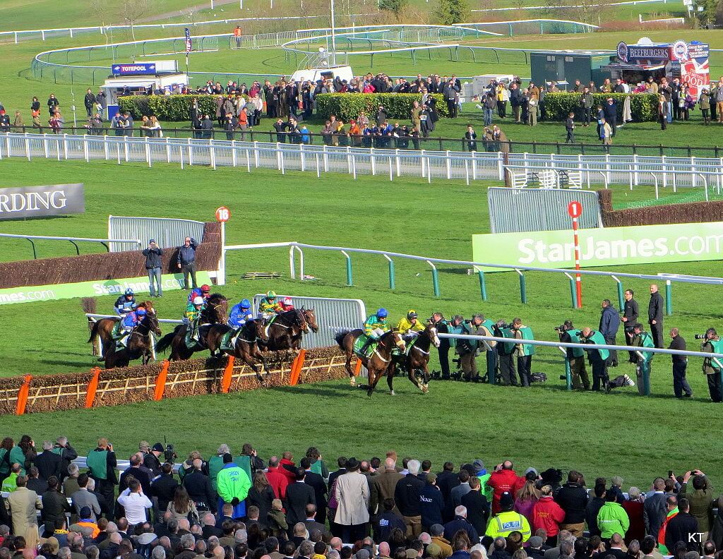 Cheltenham Festival 2025 Betting Tips & Expert Race Picks