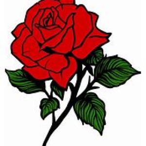 roy rose