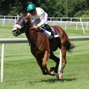 Horseplayer 
